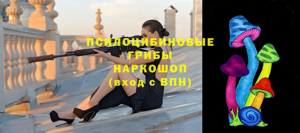 прущие грибы Ладушкин