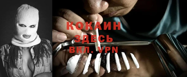 Альфа ПВП Лагань