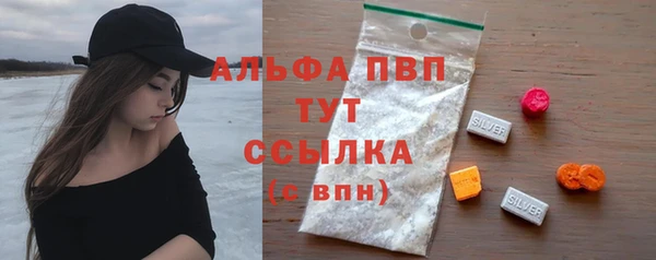 прущие грибы Ладушкин