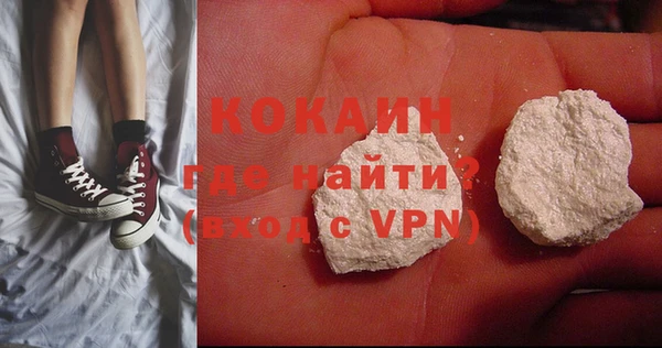 прущие грибы Ладушкин