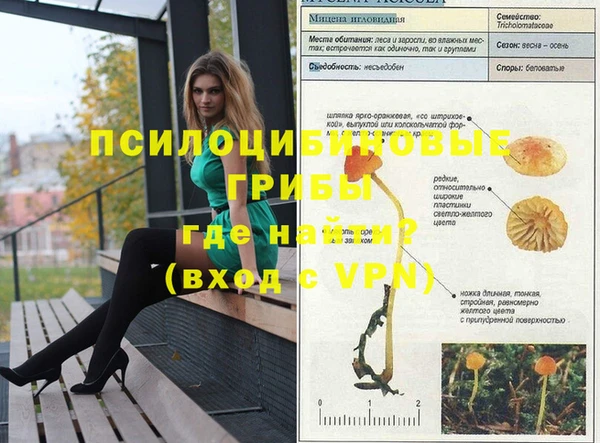 прущие грибы Ладушкин