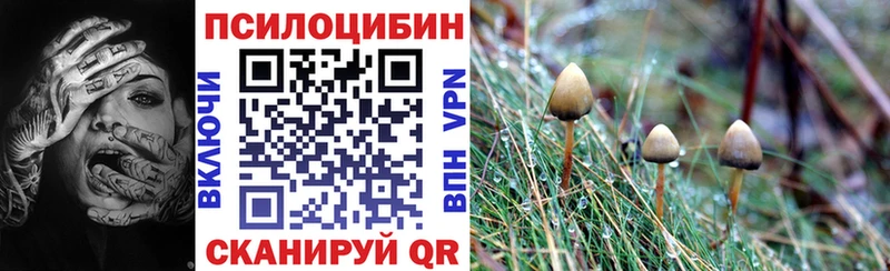 наркотики  Яхрома  МЕГА зеркало  Псилоцибиновые грибы прущие грибы 